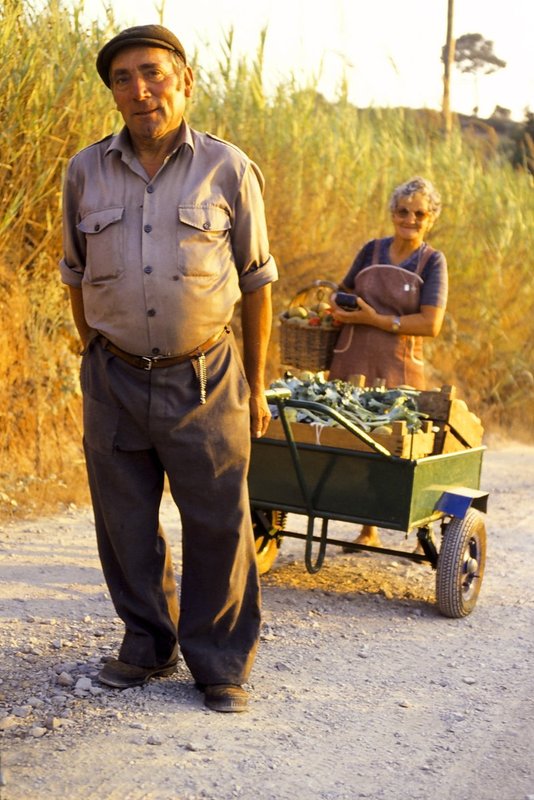 man pulling cart Portugal.jpg