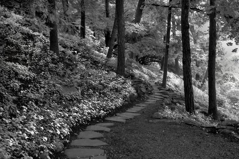 pathway at Garrett Memorial Chapel NY.jpg