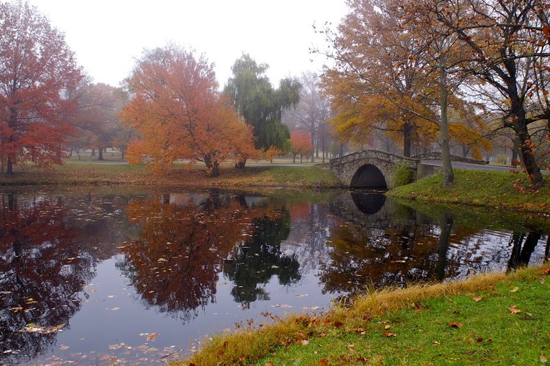 pond bridge Cinaminson NJ.jpg
