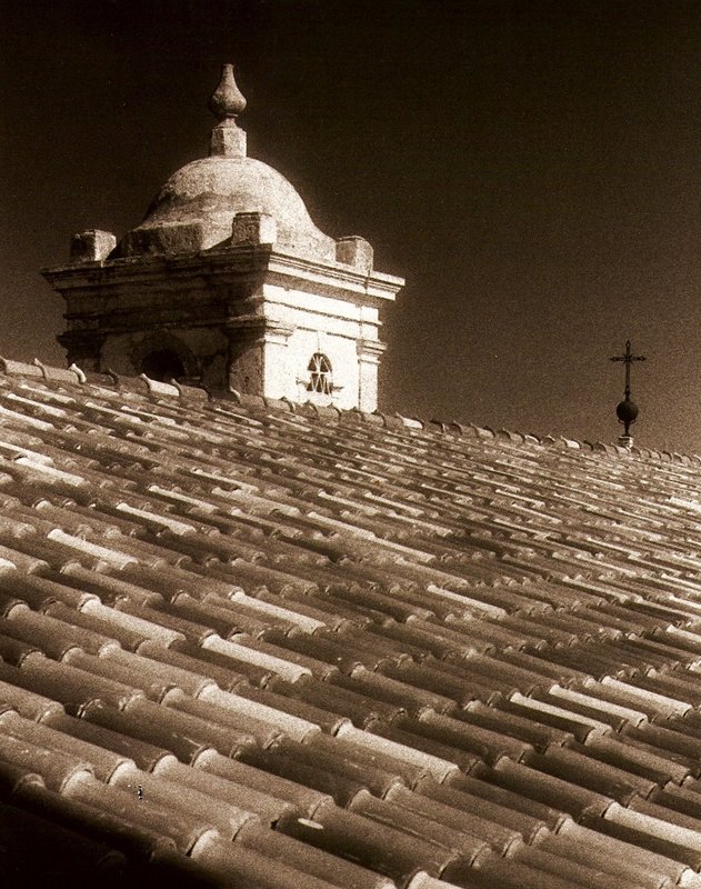 rooftop Portugal.jpg