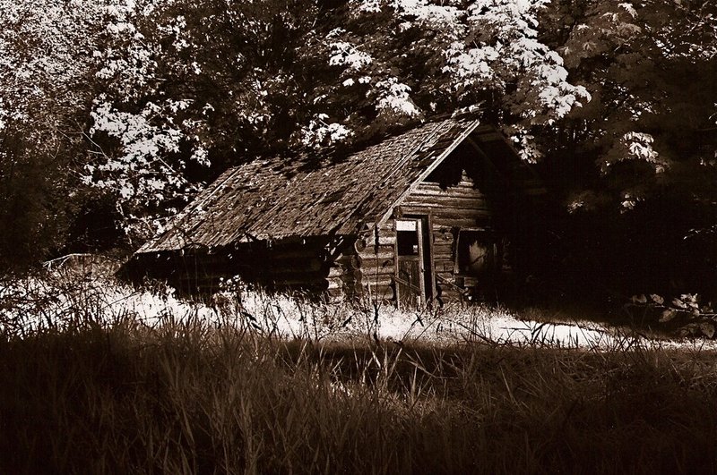 shack in the woods.jpg