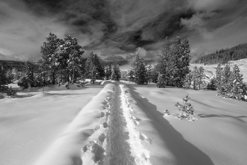 snow covered walkway.jpg
