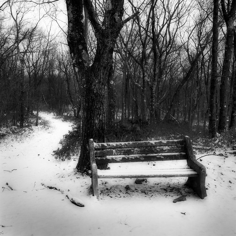 snowy path with bench.jpg