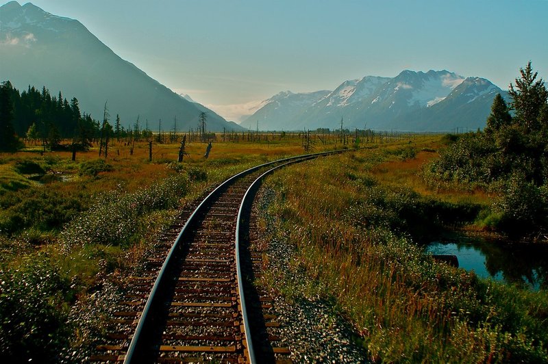 train to Denali NP.jpg