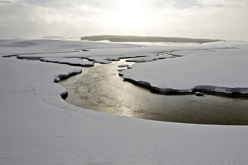 yellowstone river.jpg