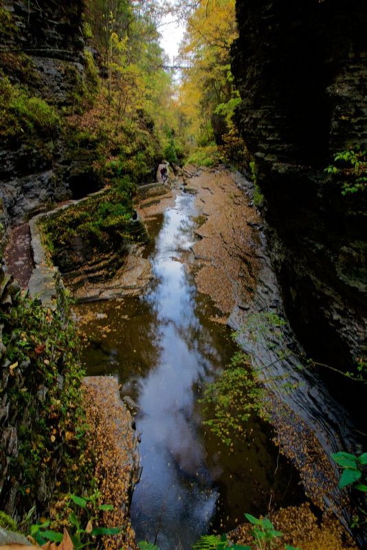 Along the Gorge Trail Watkins Glen NY.jpg