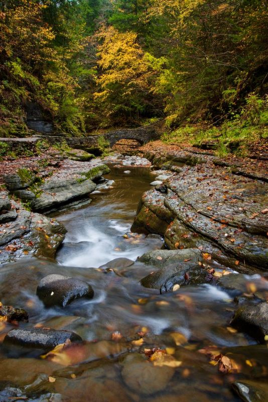 Autumn in Watkins Glen NY.jpg