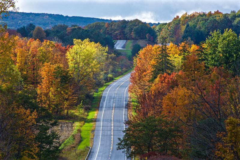 Country Road Mecklenburg NY.jpg