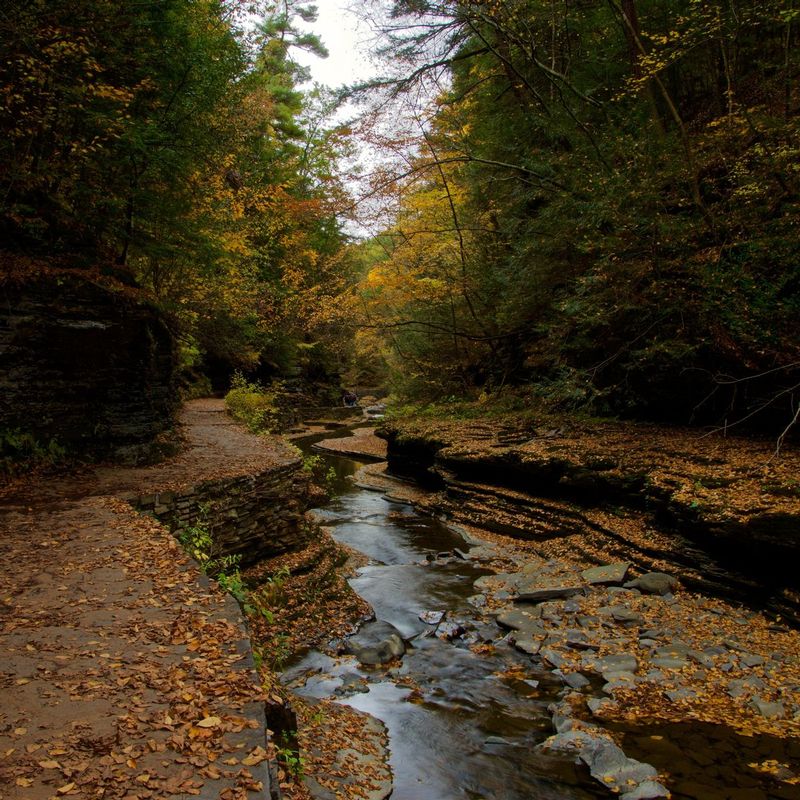 Glen Creak Watkins Glen NY.jpg