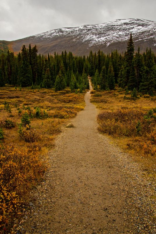 Parker Ridge Trailhead.jpg