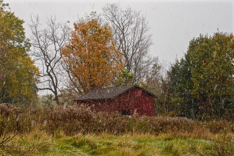 Red Barn.jpg