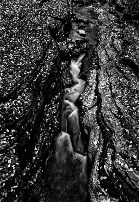 Stream Abstract Watkins Glen NY.jpg