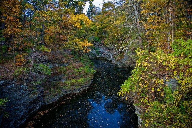 Upper Bebe Lake Ithaca NY.jpg