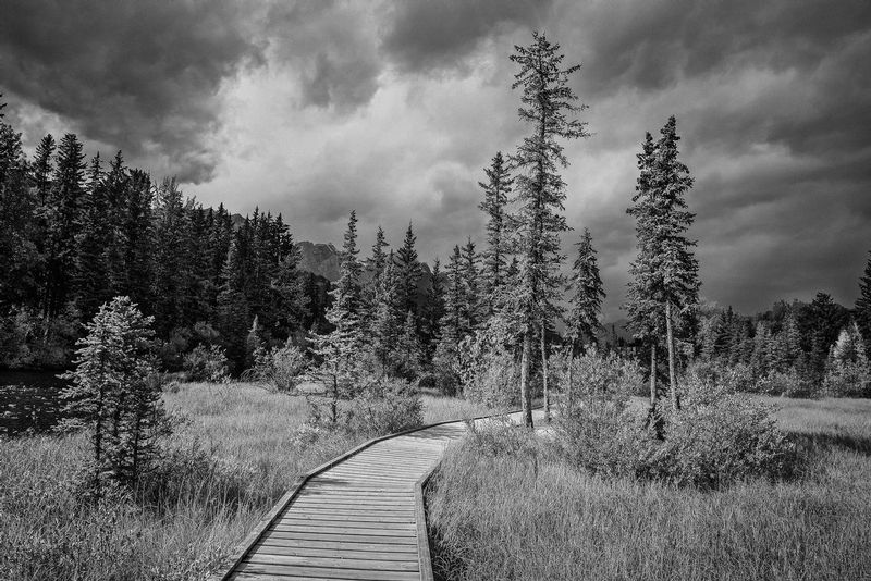 Walkway in Canmore BW-2.jpg