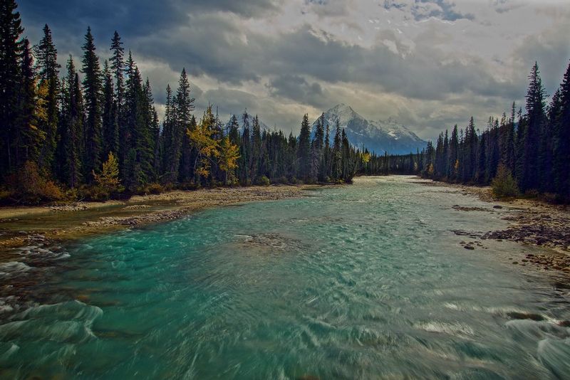 Whirlpool River Jasper National Park.jpg