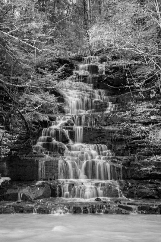 Wooded Falls BW.jpg
