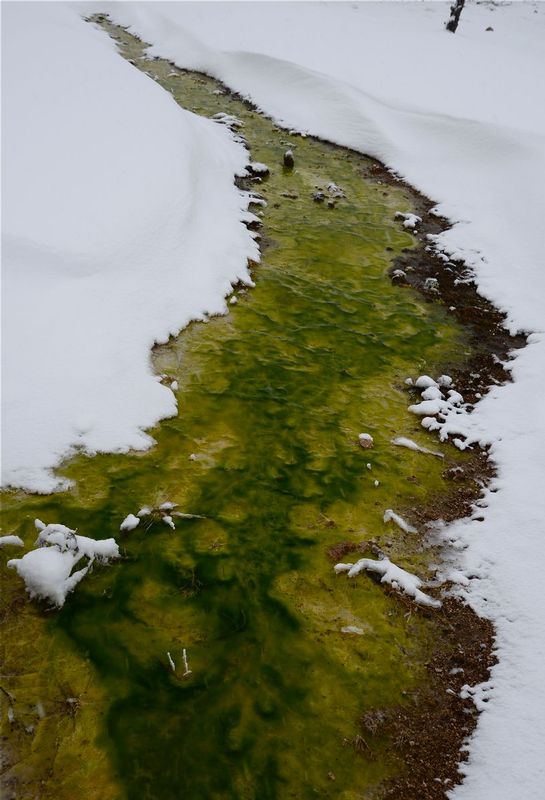 Yellowstone NP.jpg
