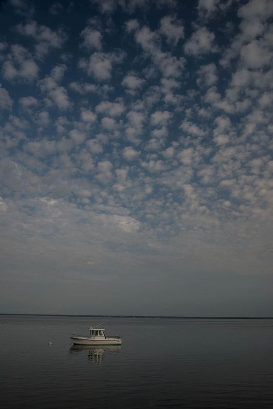 early morning on bay.jpg