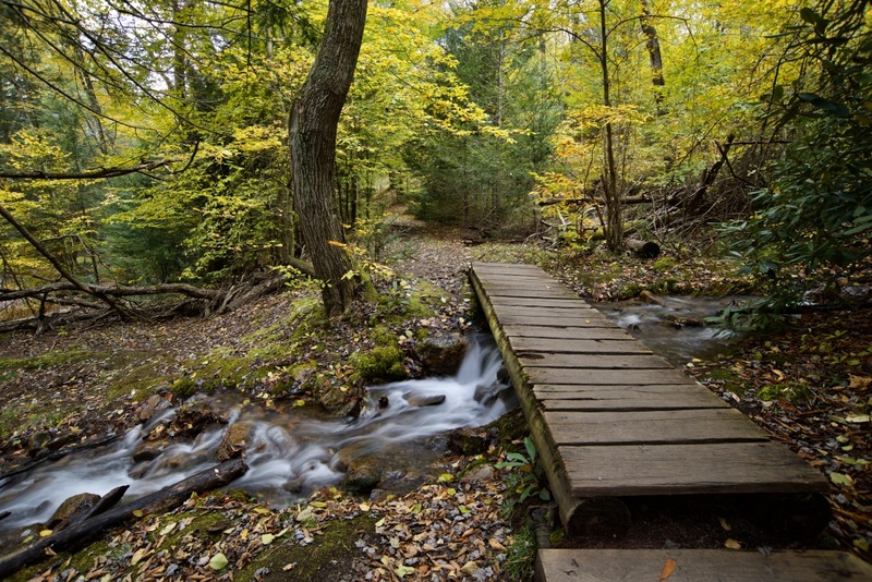 Baordwalk over stream Hickory Run SP.jpg :: Boardwalk over a stream on Shades of Death Trail in Hickory Run State Park, Pa.