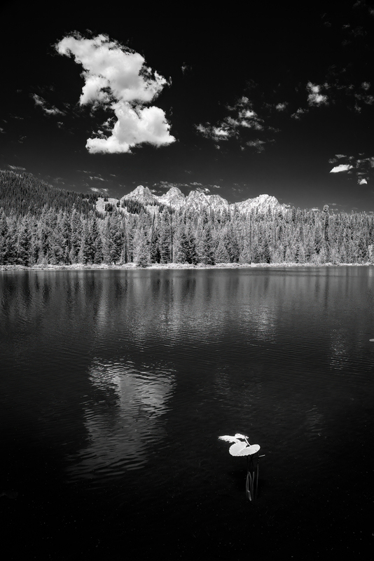 Bench Lakes with Lilly.jpg