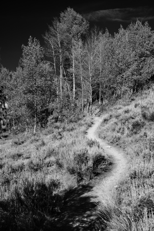 Fishhook Meadow Trail.jpg