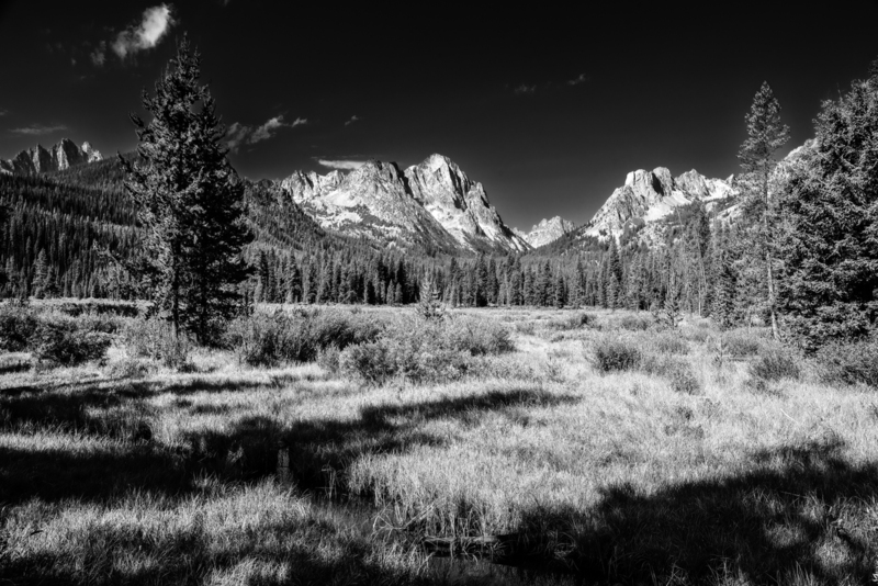 Fishhook Meadow.jpg