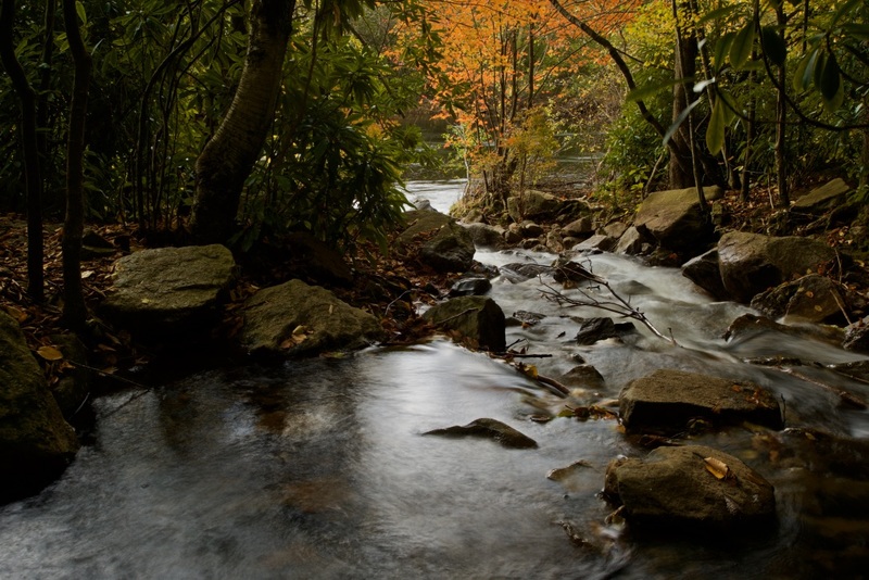 Lower Stream Glen Onoko.jpg :: Quiet stream with cascading falls in autumn woods, Glen Onoko Falls, Jim Thorpe, Pa.
