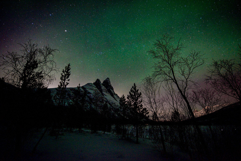lights from the woods.jpg