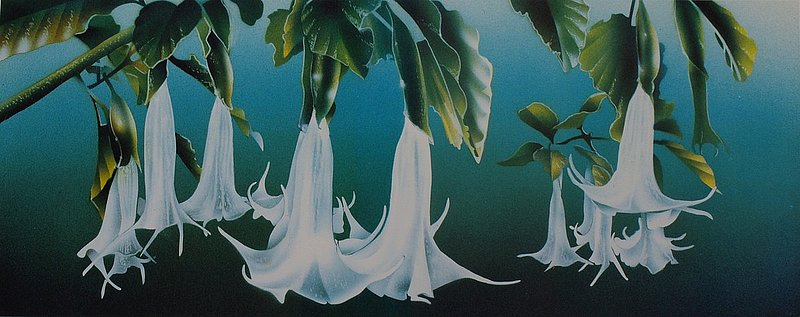 angelstrumpetlitho.jpg :: \