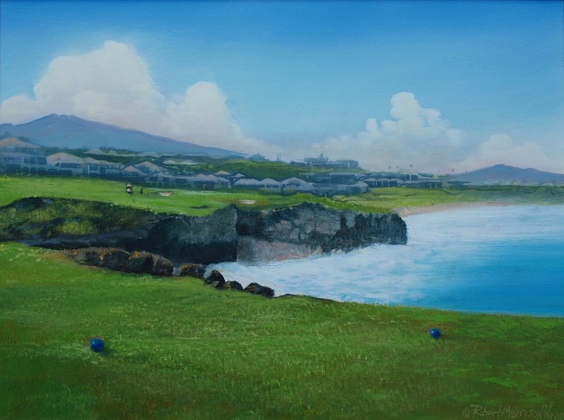 kapaluabaycourse.jpg ::  \