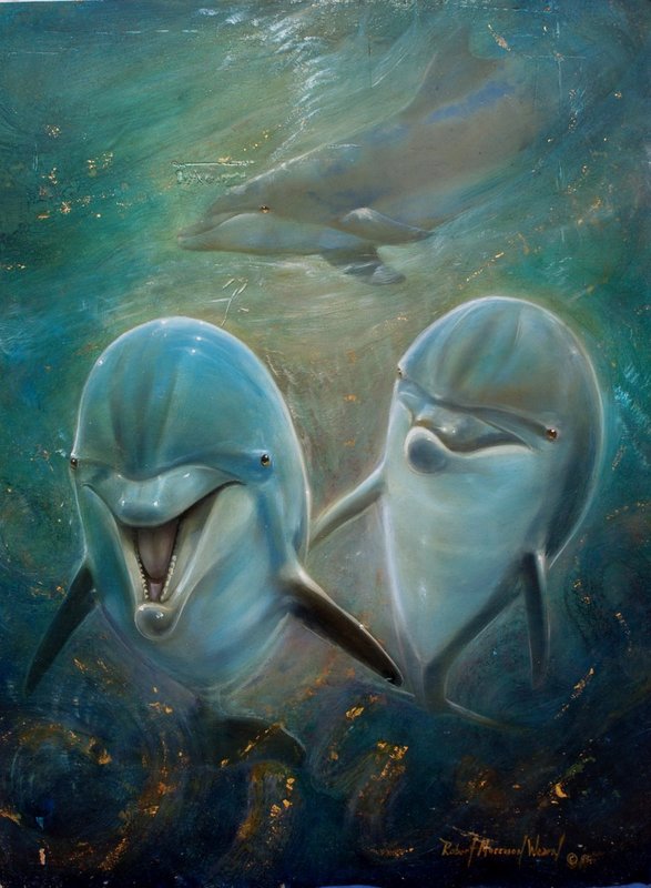 laughingdolphin.jpg ::  \