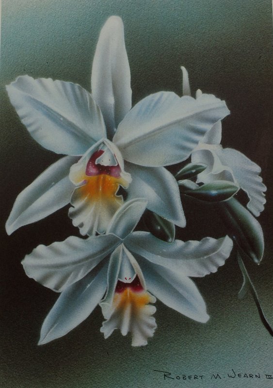 orchidlitho.jpg ::  \