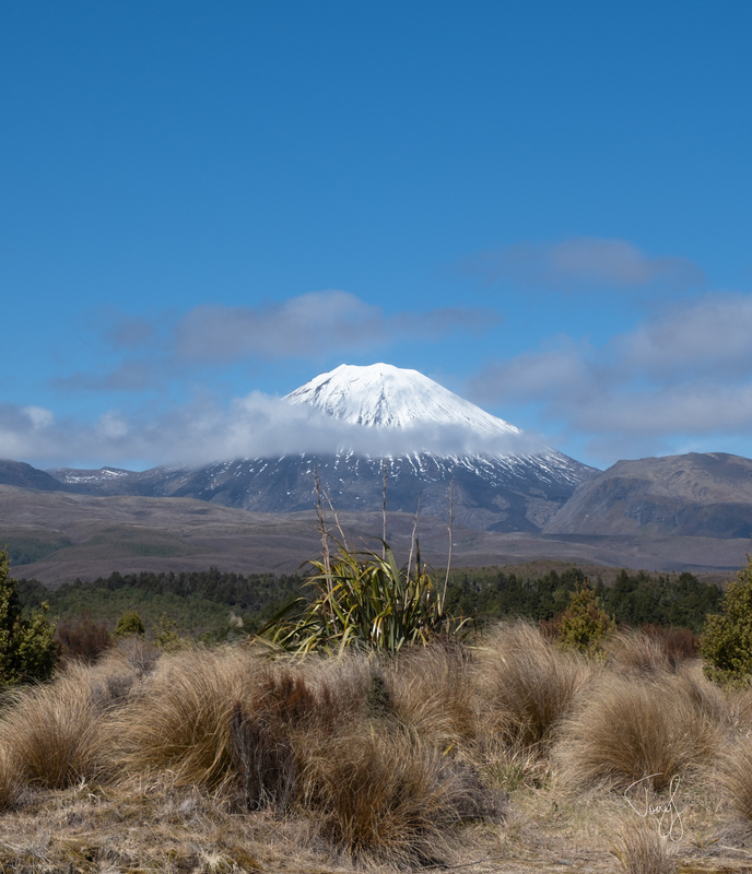 DSCF8136.jpg