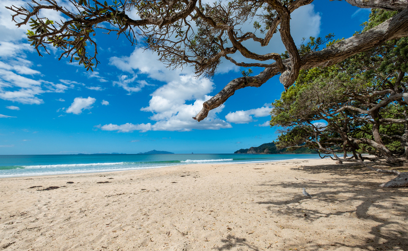 Langs Beach DSCF7091.jpg :: Langs Beach, Northland, New Zealand