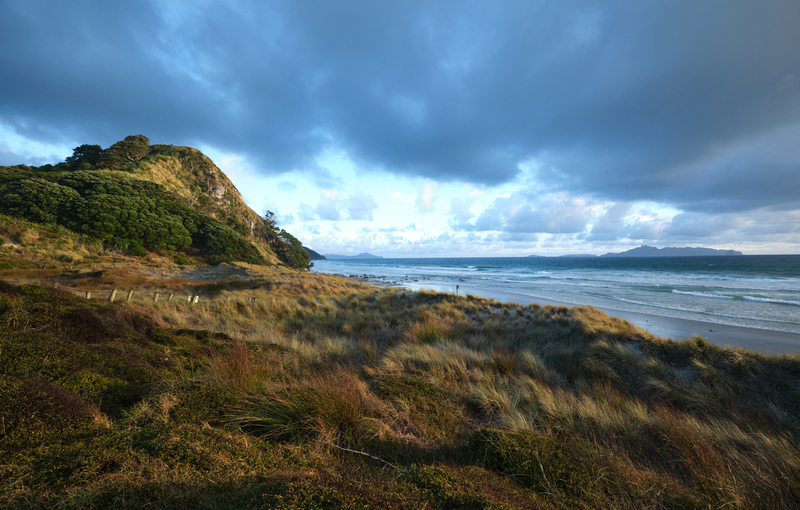 Mangawhai Heads DSCF1858 1.jpg :: Mangawhai Heads beach and Estuary, Northland