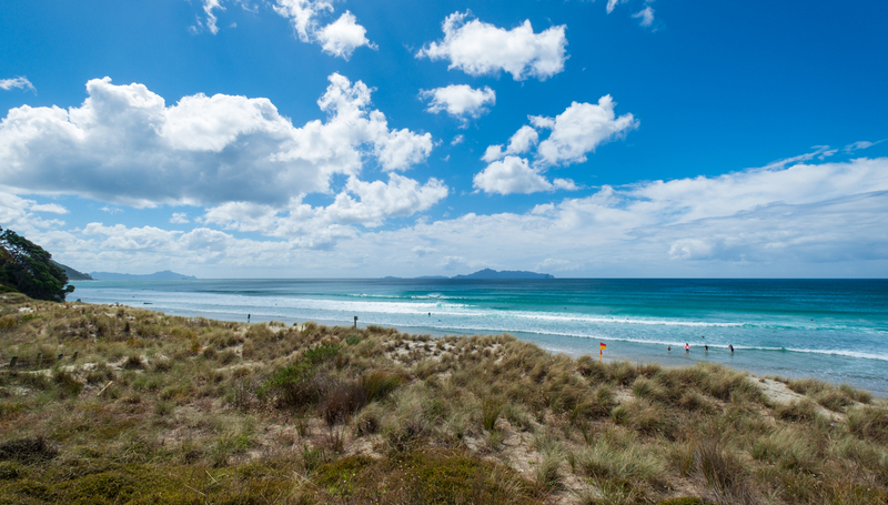 Mangawhai Heads DSCF6723(1).jpg :: Mangawhai Heads beach and Estuary, Northland
