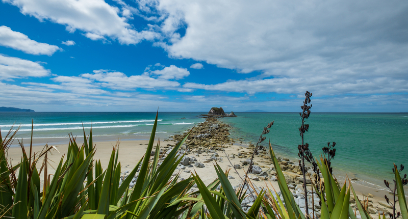 Mangawhai Heads DSCF6749(1).jpg :: Mangawhai Heads beach and Estuary, Northland