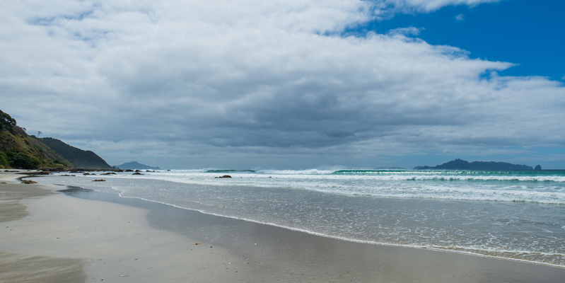 Mangawhai Heads DSCF6794(1).jpg :: Mangawhai Heads beach and Estuary, Northland