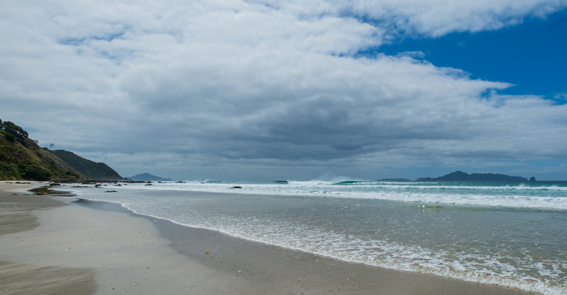 Mangawhai Heads DSCF6800(1).jpg :: Mangawhai Heads beach and Estuary, Northland