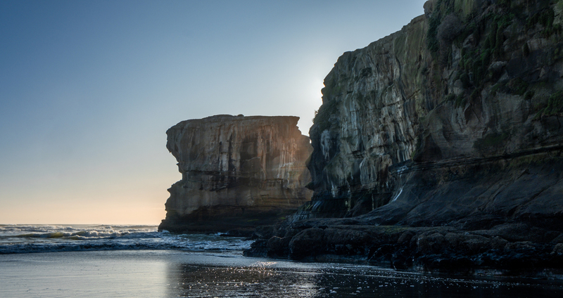 Maori Bay DSCF2801(1).jpg :: Gannet colony, Maori Bay, Muriwai beach, West Coast, Auckland, New Zealand