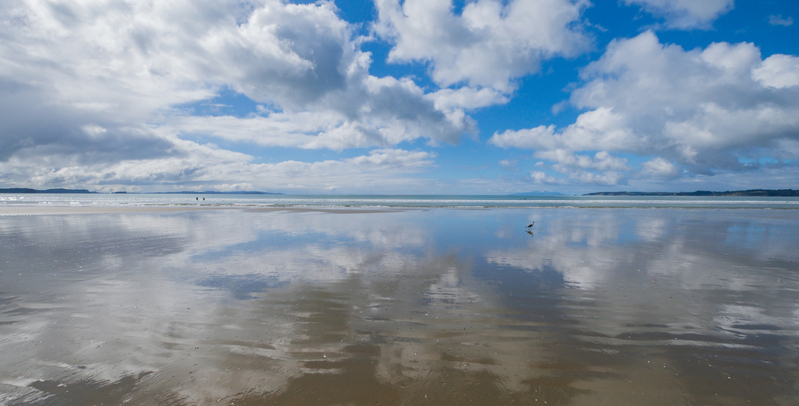 Orewa Beach Front DSCF5820.jpg :: Orewa Beach, Orewa, Hibiscus Coast, Auckland, New Zealand