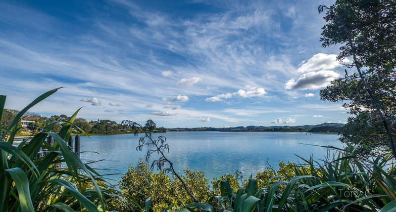 Orewa Estuary DSCF2116.jpg :: Orewa Estuary, Orewa, Hibiscus Coast, Auckland, New Zealand