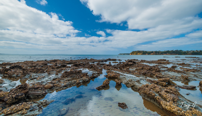 Stanmore Bay DSCF0090.jpg :: Stanmore Bay, Whangaparaoa, Hibiscus Coast, New Zealand