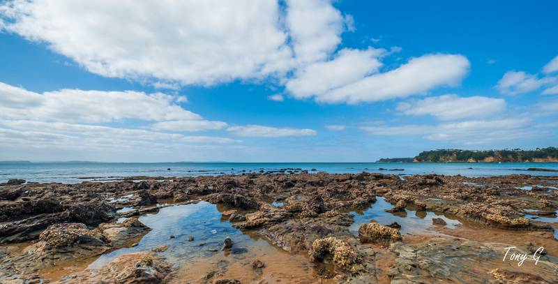 Stanmore Bay DSCF0115(1).jpg :: Stanmore Bay, Whangaparaoa, Hibiscus Coast, New Zealand