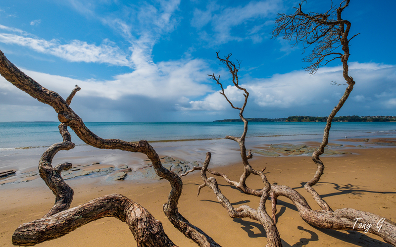 Stanmore Bay DSCF9659(1).jpg :: Stanmore Bay, Whangaparaoa, Hibiscus Coast, New Zealand