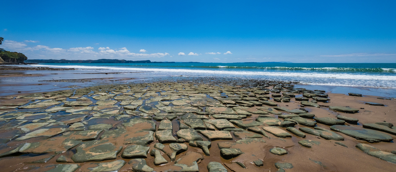Stanmore Bay DSF0814(1).jpg :: Stanmore Bay, Whangaparaoa, Hibiscus Coast, New Zealand