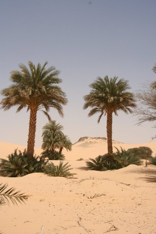 AlgeriaNiger 399.jpg