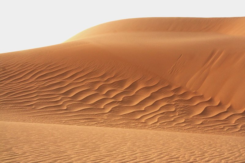 AlgeriaNiger 446.jpg