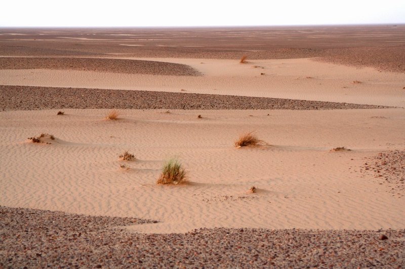 AlgeriaNiger5 018.jpg