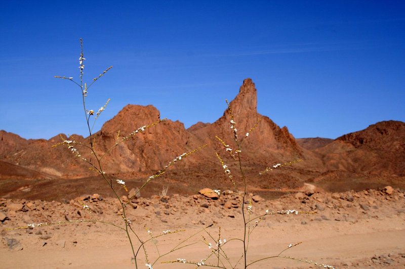 AlgeriaNiger7 093.jpg